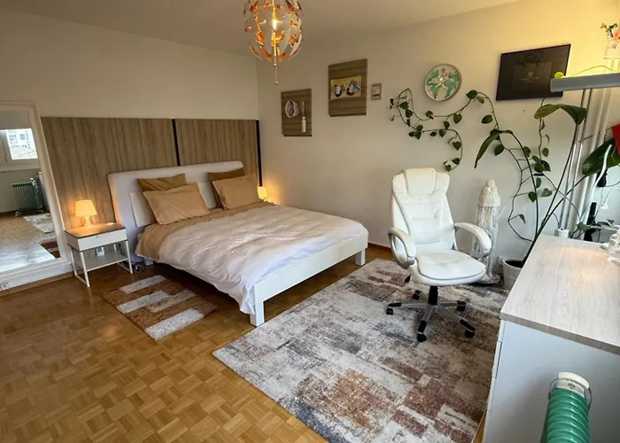 Appartement 1,5 Geneve Lac