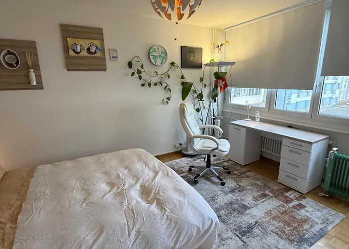 Appartement 1,5 Geneve Lac