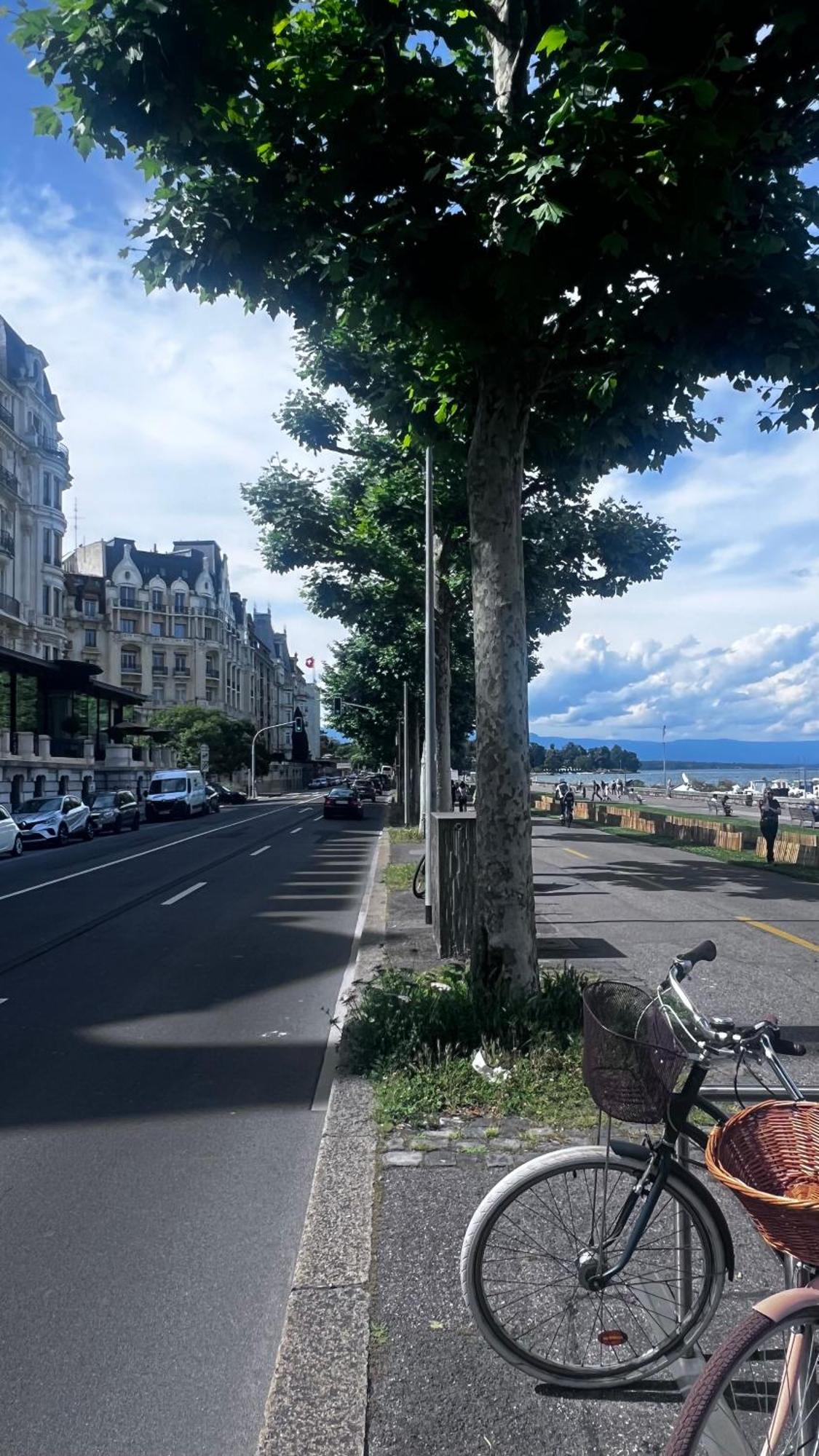 1,5 * Geneva