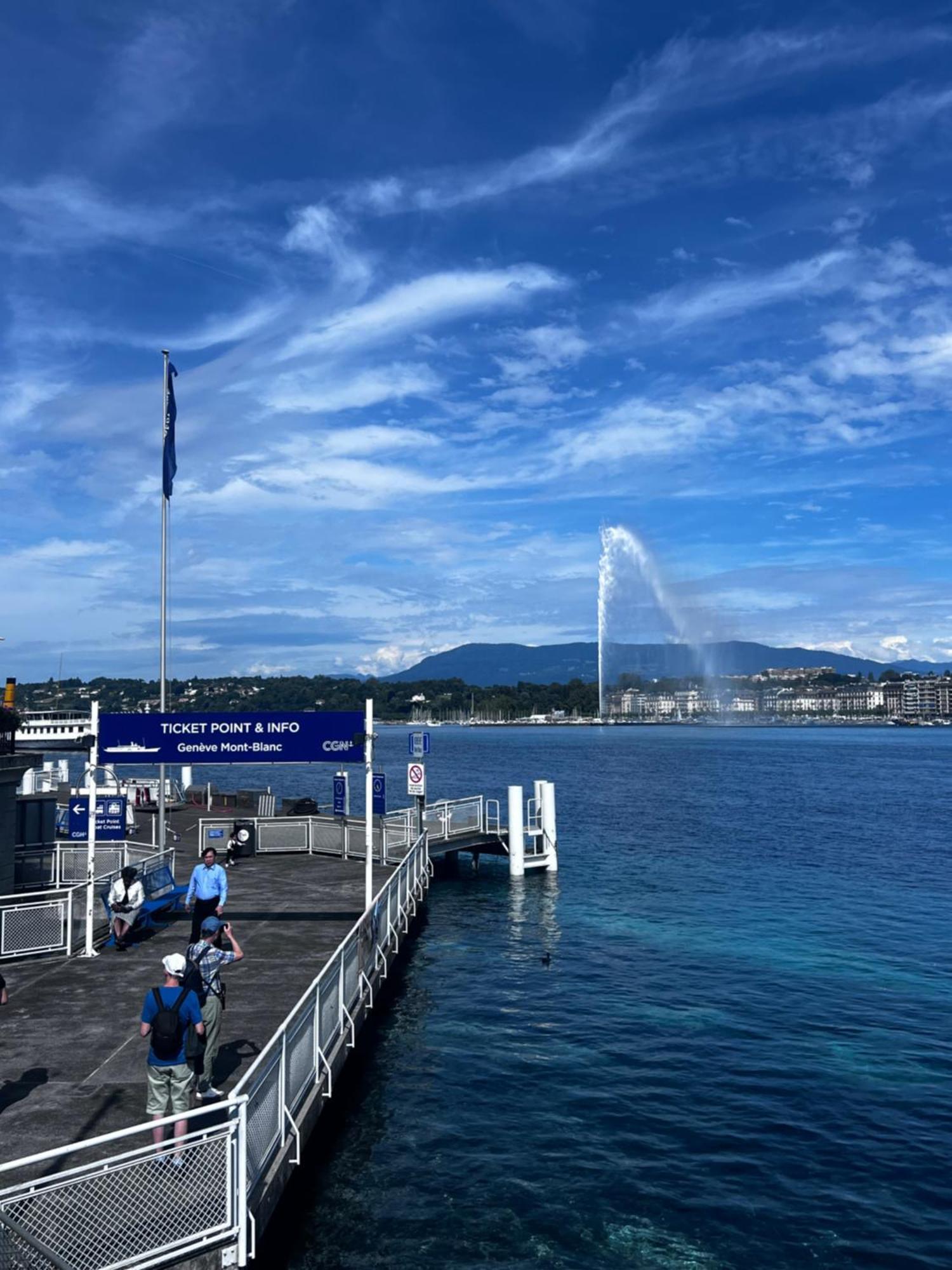 1,5 Apartment Geneva