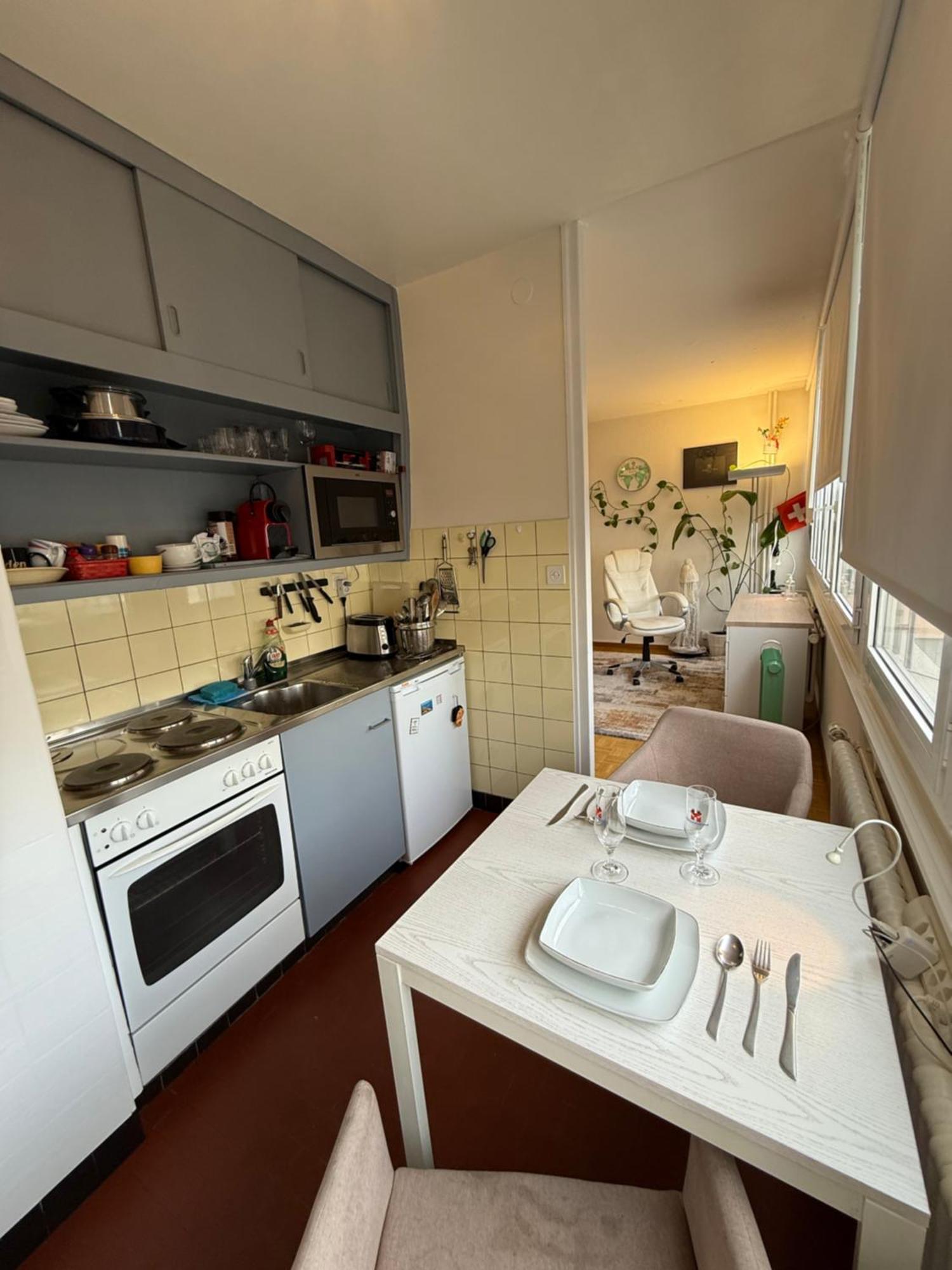 1,5 Apartment Geneva