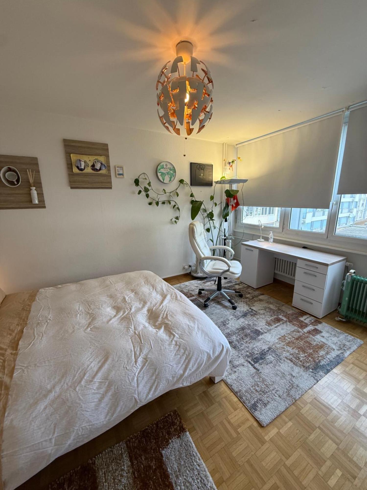 1,5 Apartment