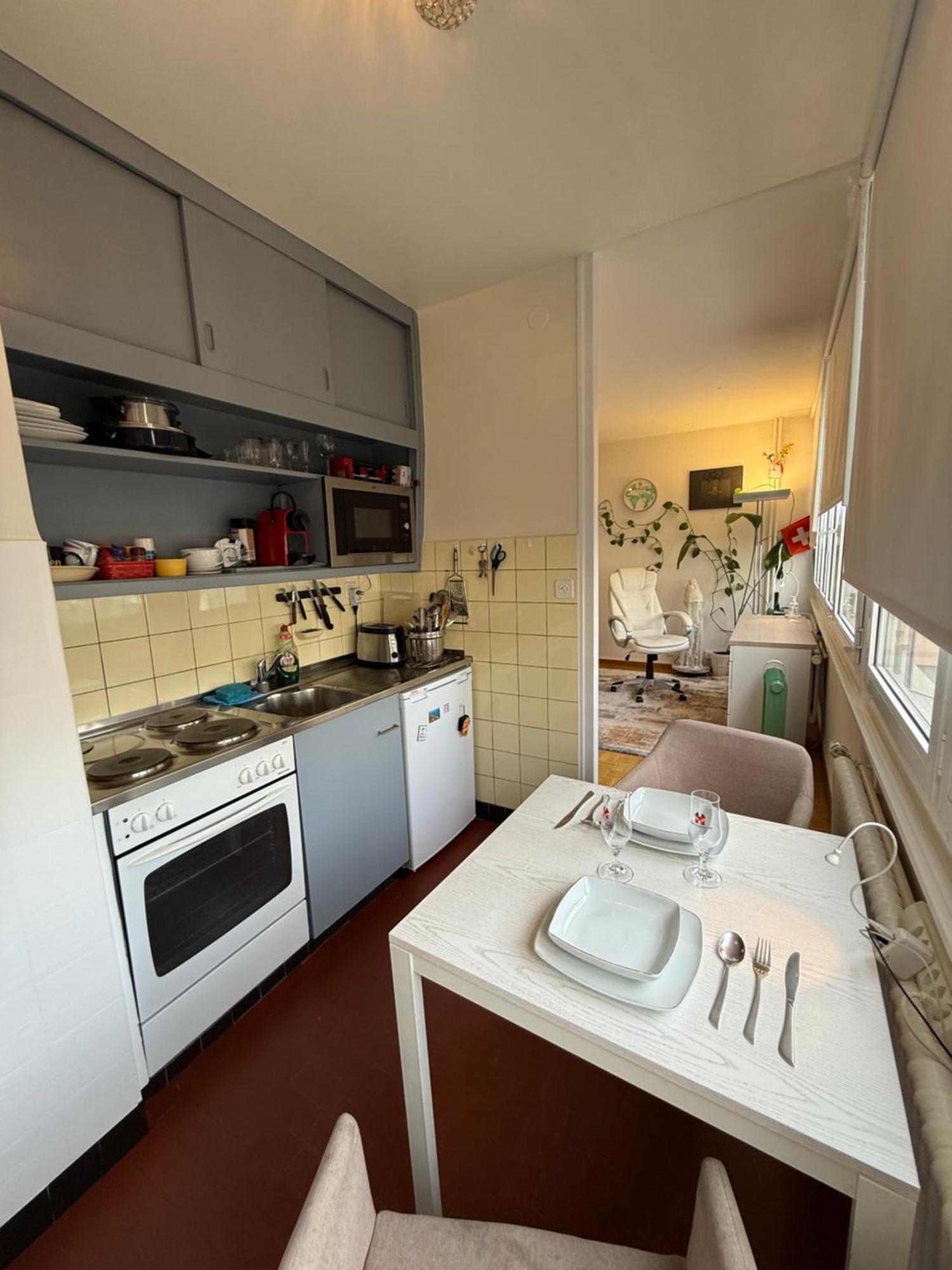 1,5 Apartment Geneva