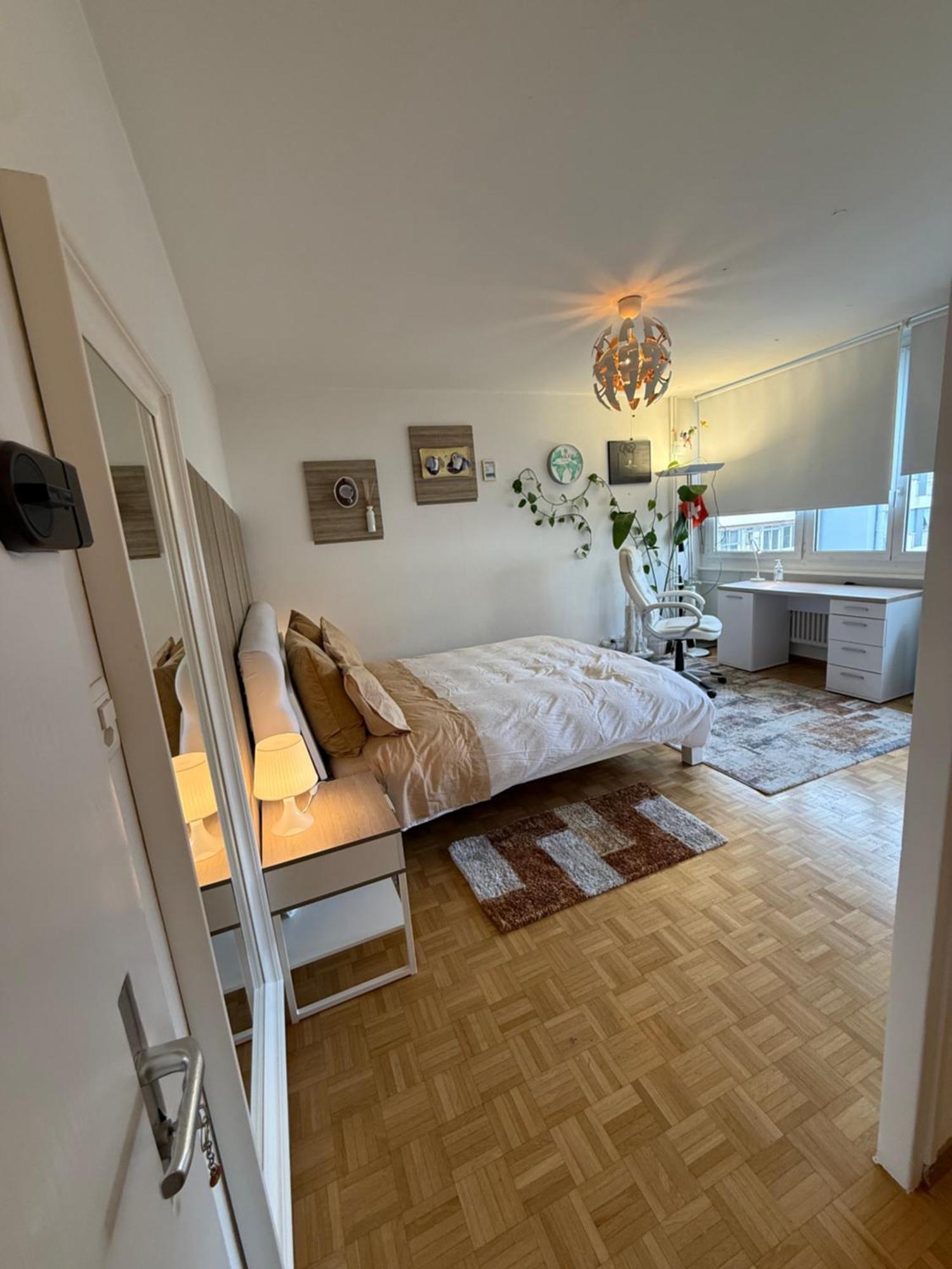 Apartment 1,5 Geneva